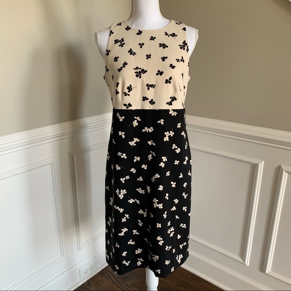 NWOT Ann Taylor Cream And Black Floral Print Dress Size 6 - Picture 1 of 8